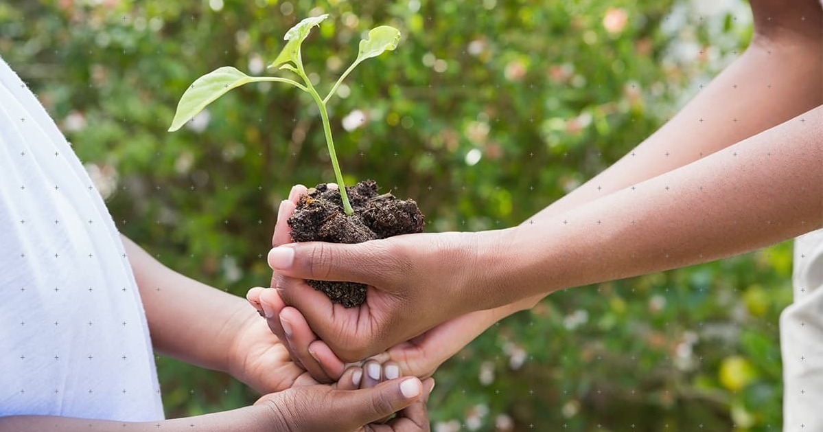 how-to-adopt-sustainable-business-practices